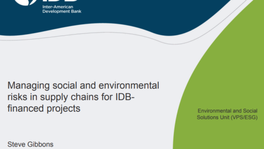 Managing social and environmental risks in supply chains for IDB-financed projects